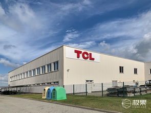 對話王成 TCL如何在2020年躋身歐洲前三，國內貿易代理又扮演何種角色？